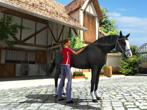 3 in 1 Pferdebox: Lass uns Reiten 2 & Riding Star 3 & Mein Gestüt - Image 11