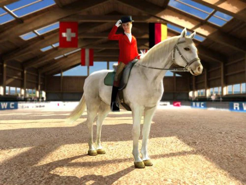 3 in 1 Pferdebox: Lass uns Reiten 2 & Riding Star 3 & Mein Gestüt - Image 13