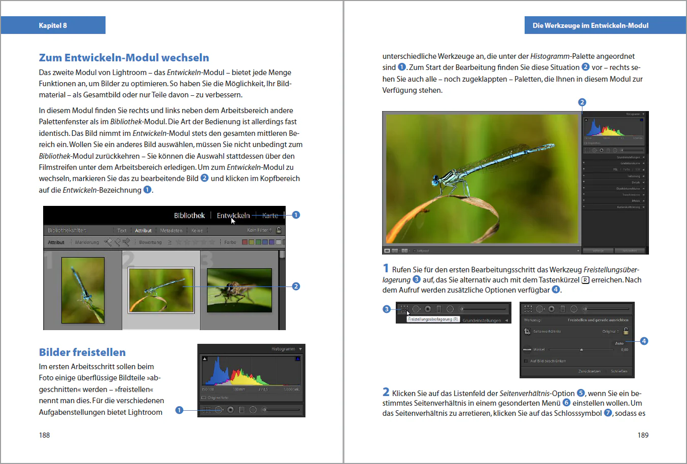 Adobe Lightroom Classic CC - Image 3