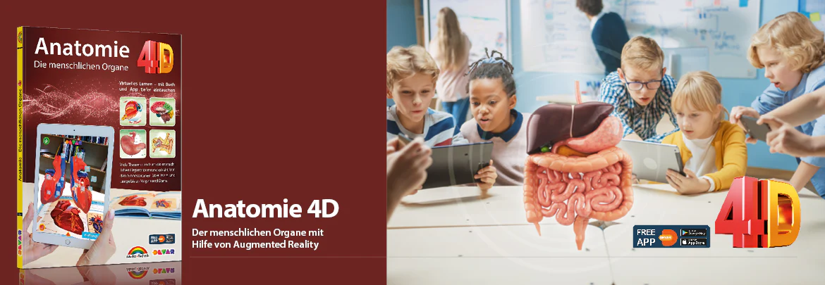 Anatomie 4D - die menschlichen Organe - Image 2