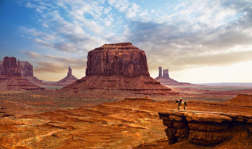 Anthropics - LandscapePro 3 Standard - Image 5