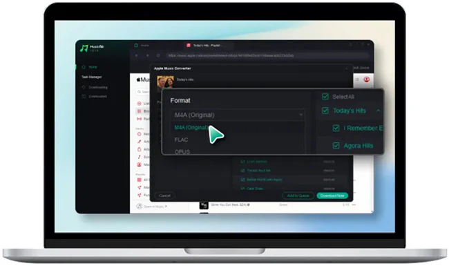 Apple Music Converter - MusicFab - Image 9