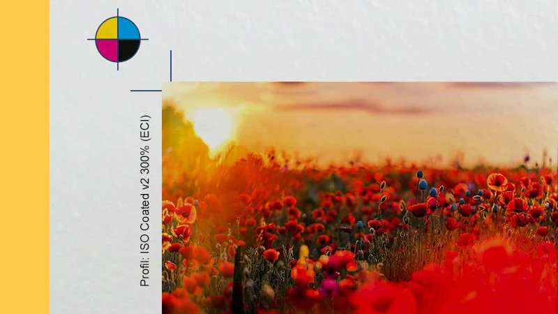AquaSoft - YouDesign Calendar 6 - Image 8