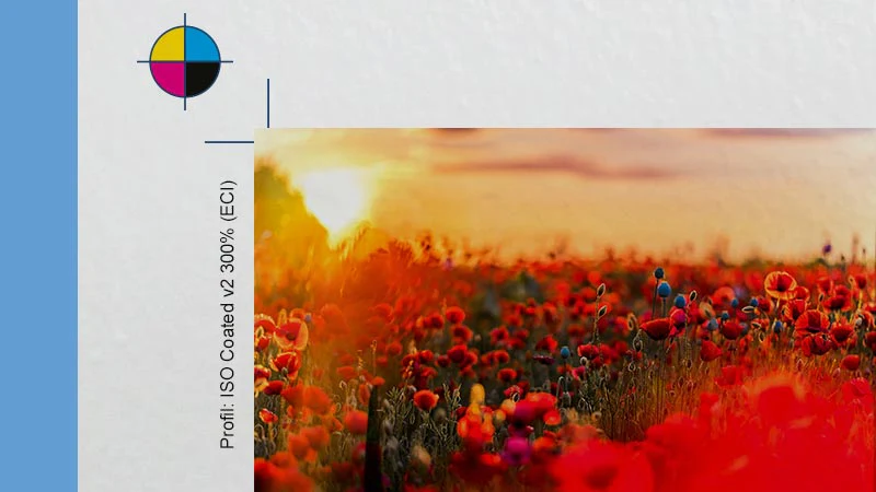 AquaSoft - YouDesign Photobook 6 Pro - Image 4
