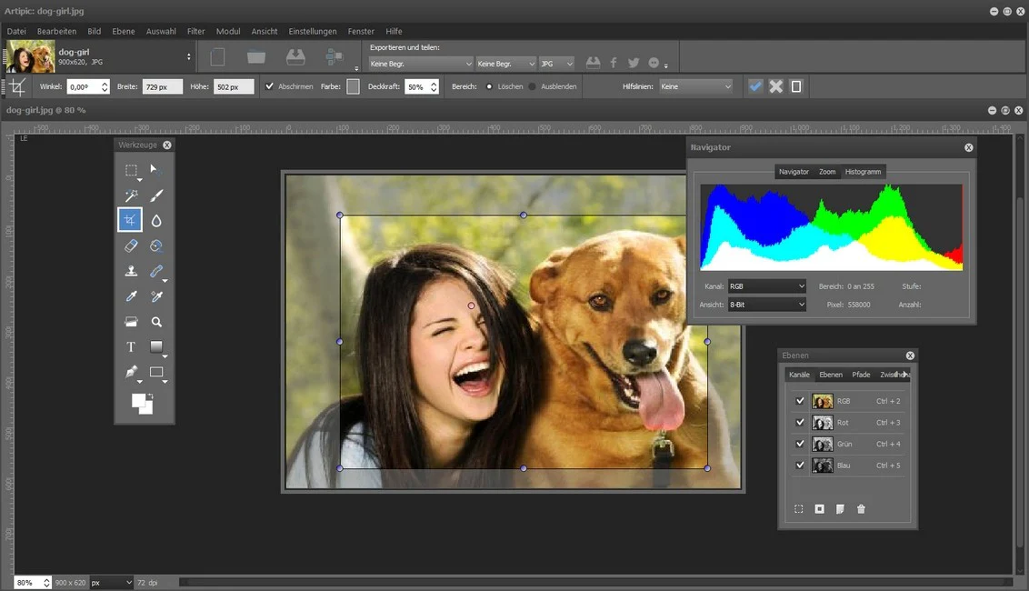 ArtiPic - Image 3