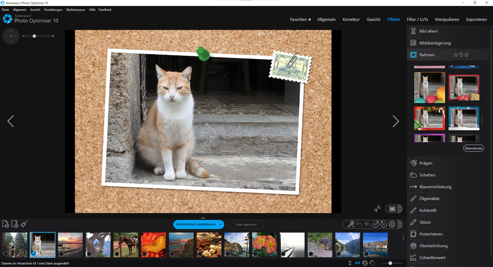 Ashampoo Photo Optimizer 10 - Image 4