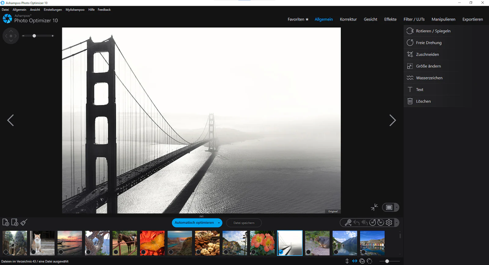Ashampoo Photo Optimizer 10 - Image 7