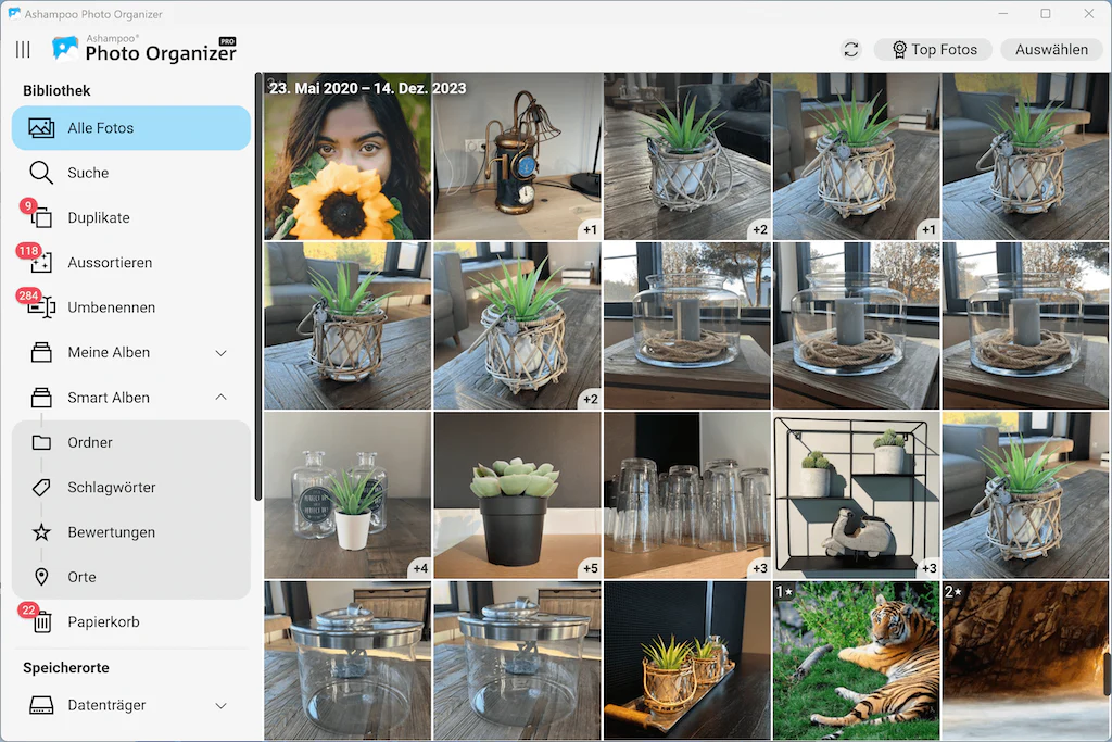 Ashampoo Photo Organizer 25 Pro - Image 8