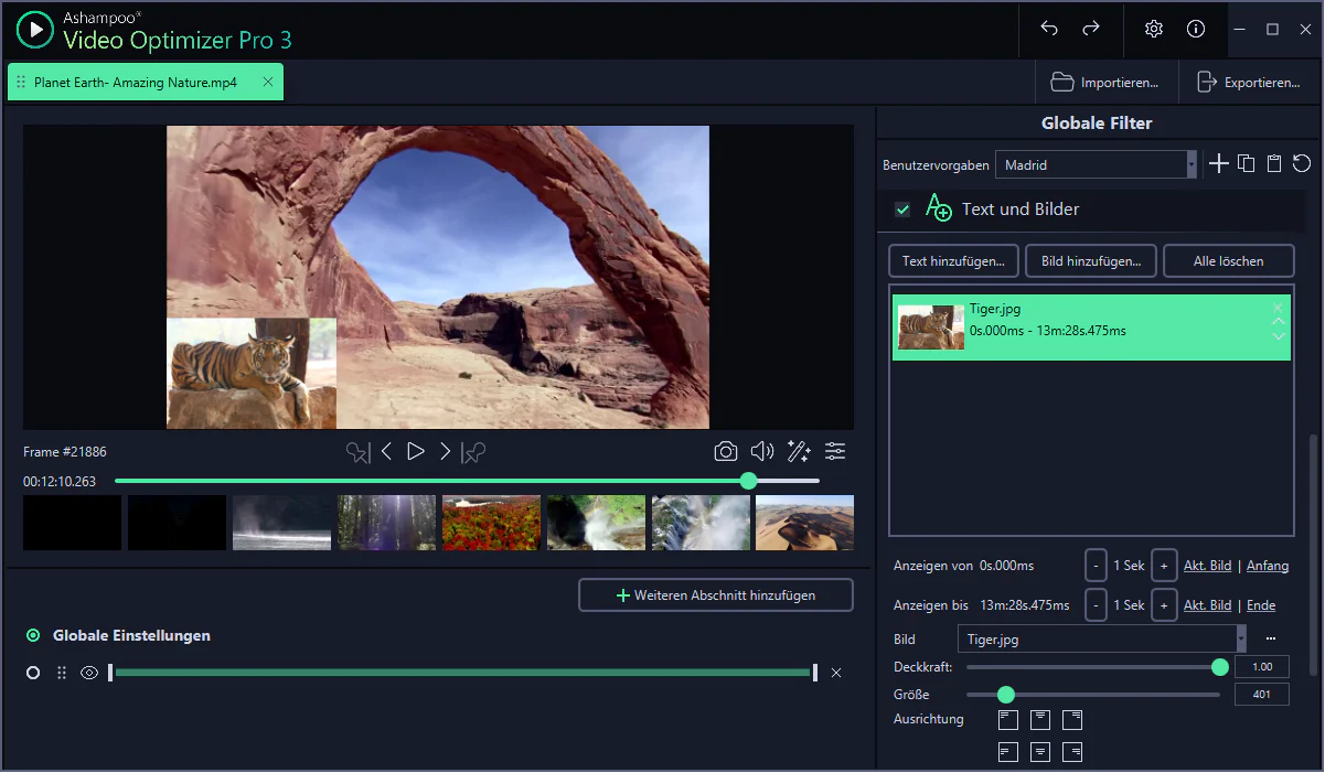 Ashampoo Video Optimizer 3 Pro - Image 4