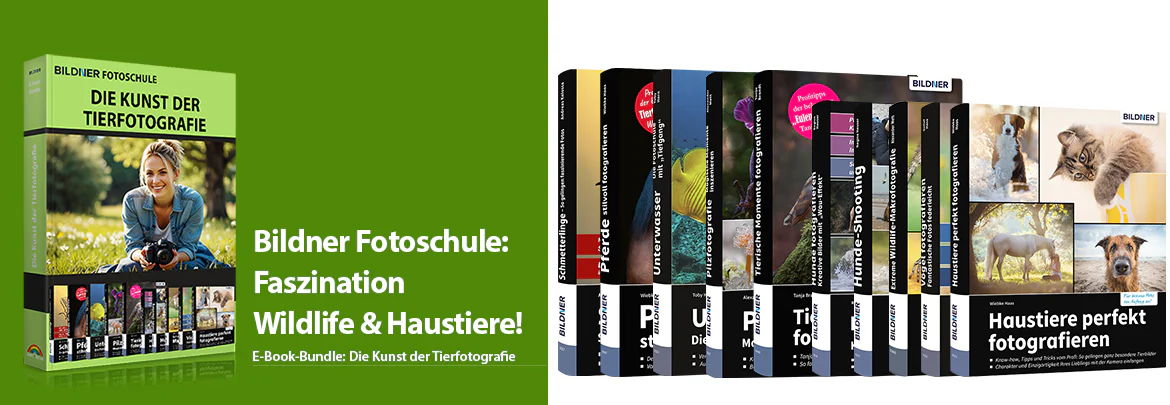 Bildner Fotoschule: Die Kunst der Tierfotografie - Image 2