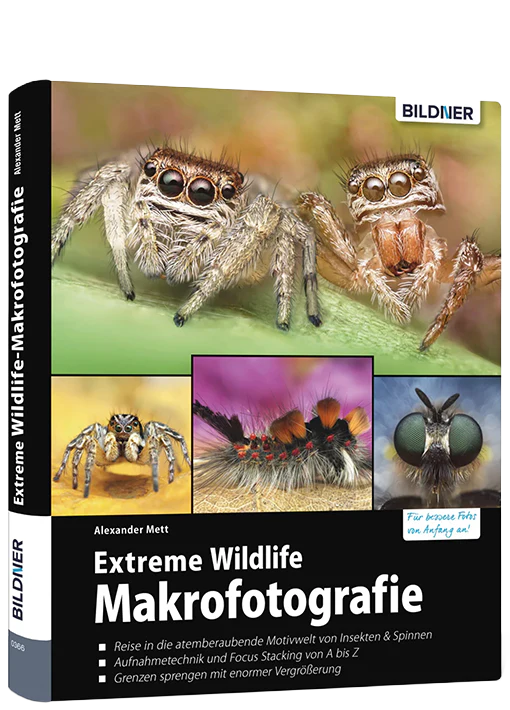 Bildner Fotoschule: Die Kunst der Tierfotografie - Image 3