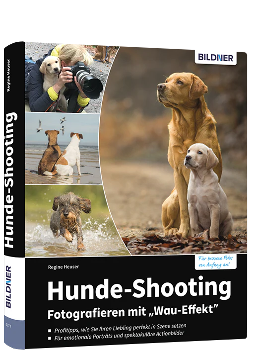 Bildner Fotoschule: Die Kunst der Tierfotografie - Image 4