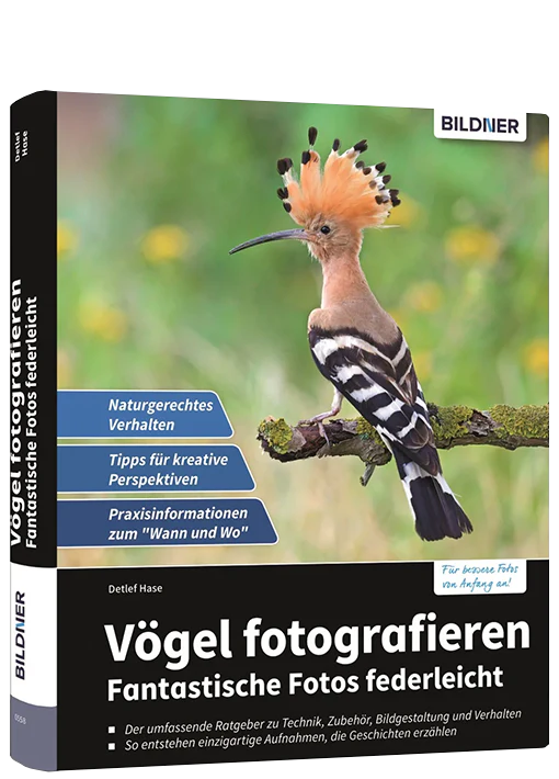 Bildner Fotoschule: Die Kunst der Tierfotografie - Image 9