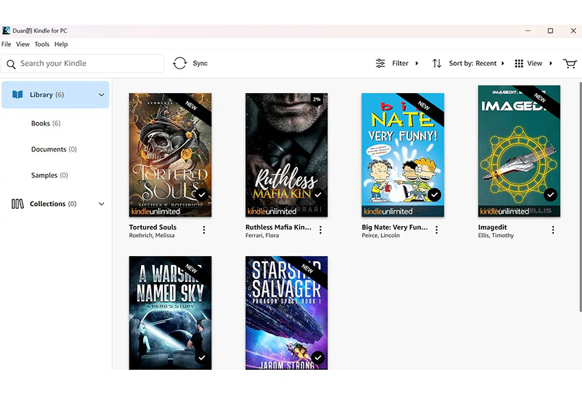 BookFab Kindle Converter - 2-Jahres-Lizenz - Image 4