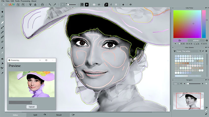 Codijy Colorizer Pro - Image 7