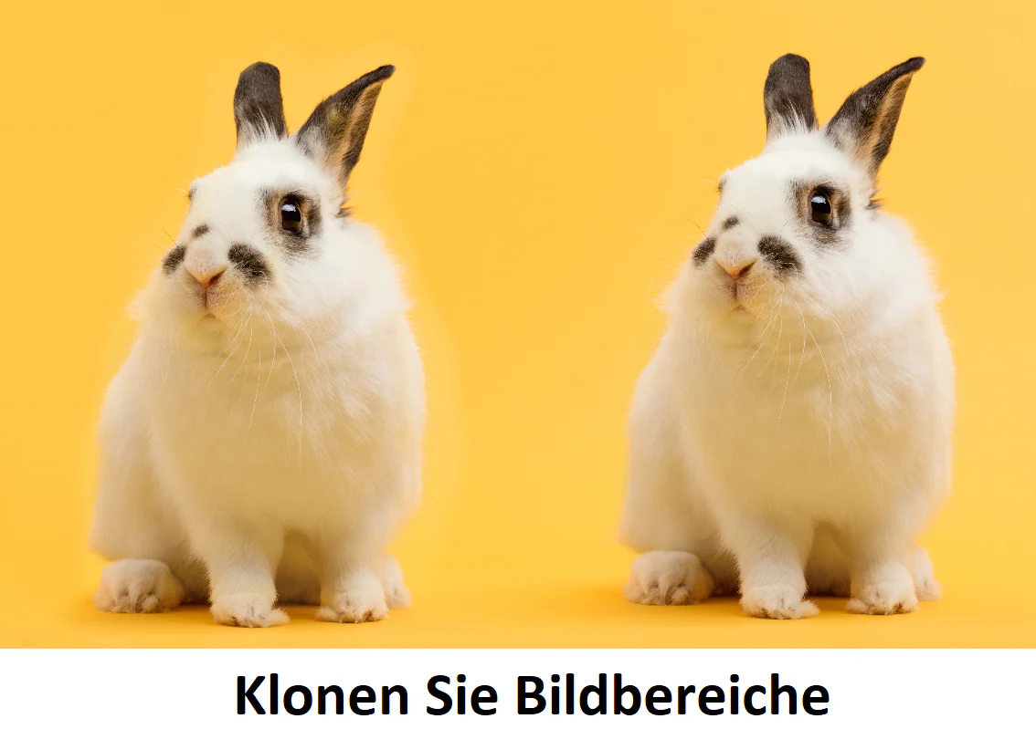 Digitale Schere 2 – Objekte und Personen entfernen - Image 4