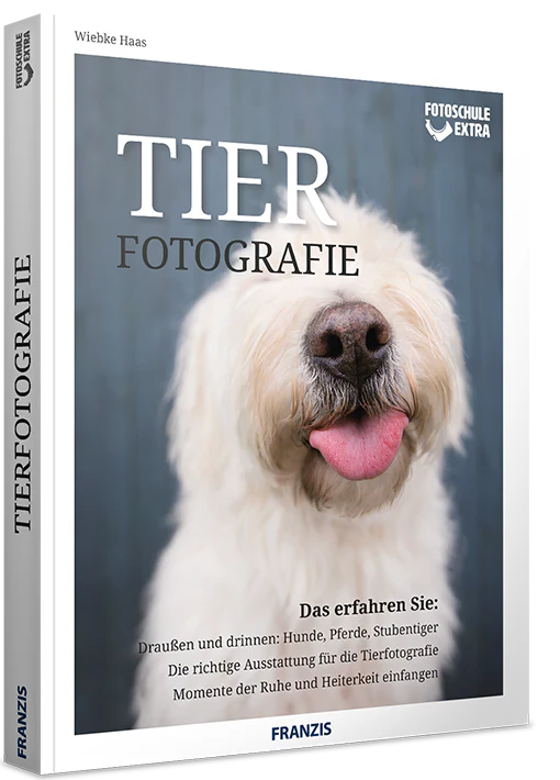 E-Book-Bundle: Foto-Wissen: Menschen & Tiere - Image 5
