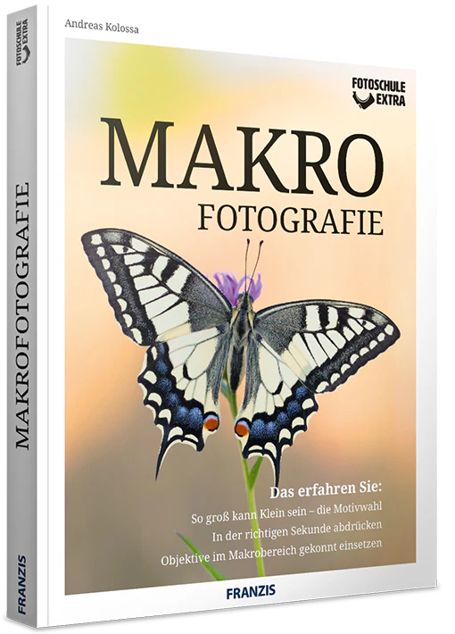 E-Book-Bundle: Garten-Projekte - Image 6