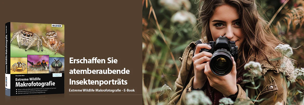 Extreme Wildlife-Makrofotografie - Image 2
