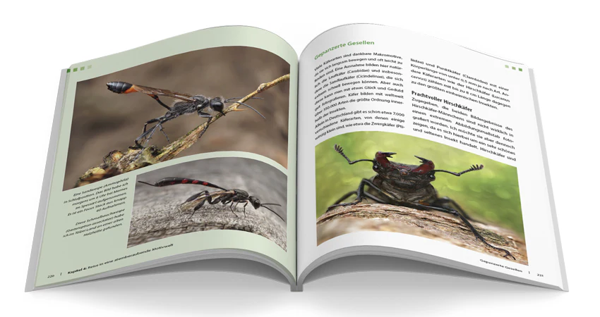 Extreme Wildlife-Makrofotografie - Image 5