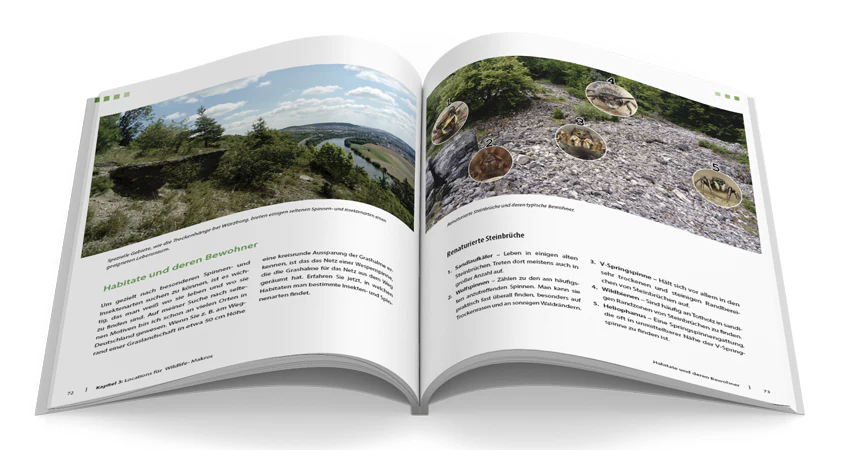 Extreme Wildlife-Makrofotografie - Image 6