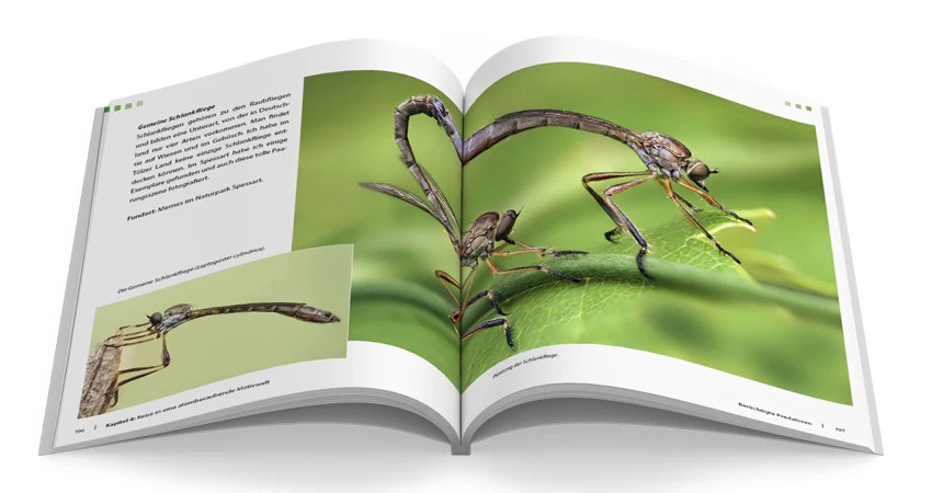 Extreme Wildlife-Makrofotografie - Image 7