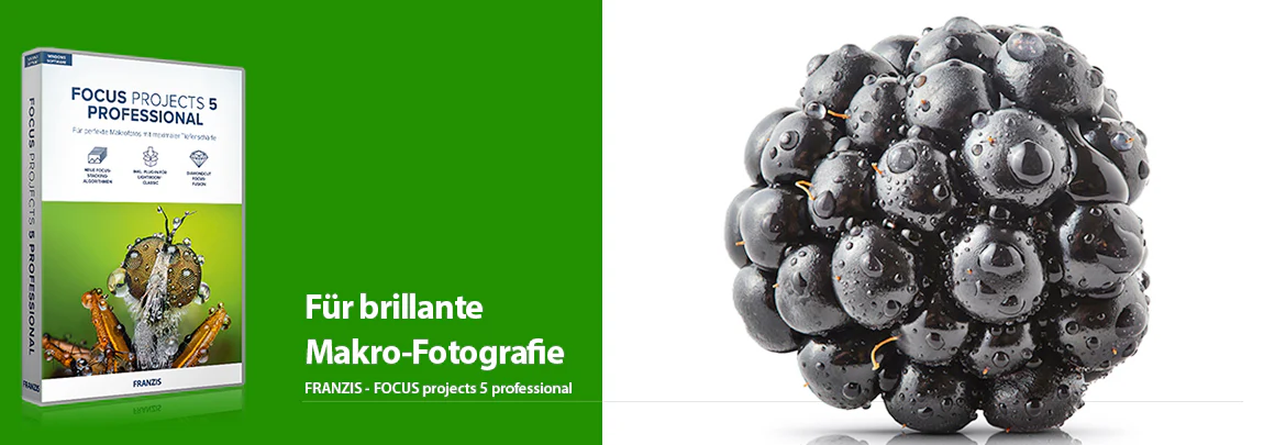 FOCUS projects 5 professional - Image 2