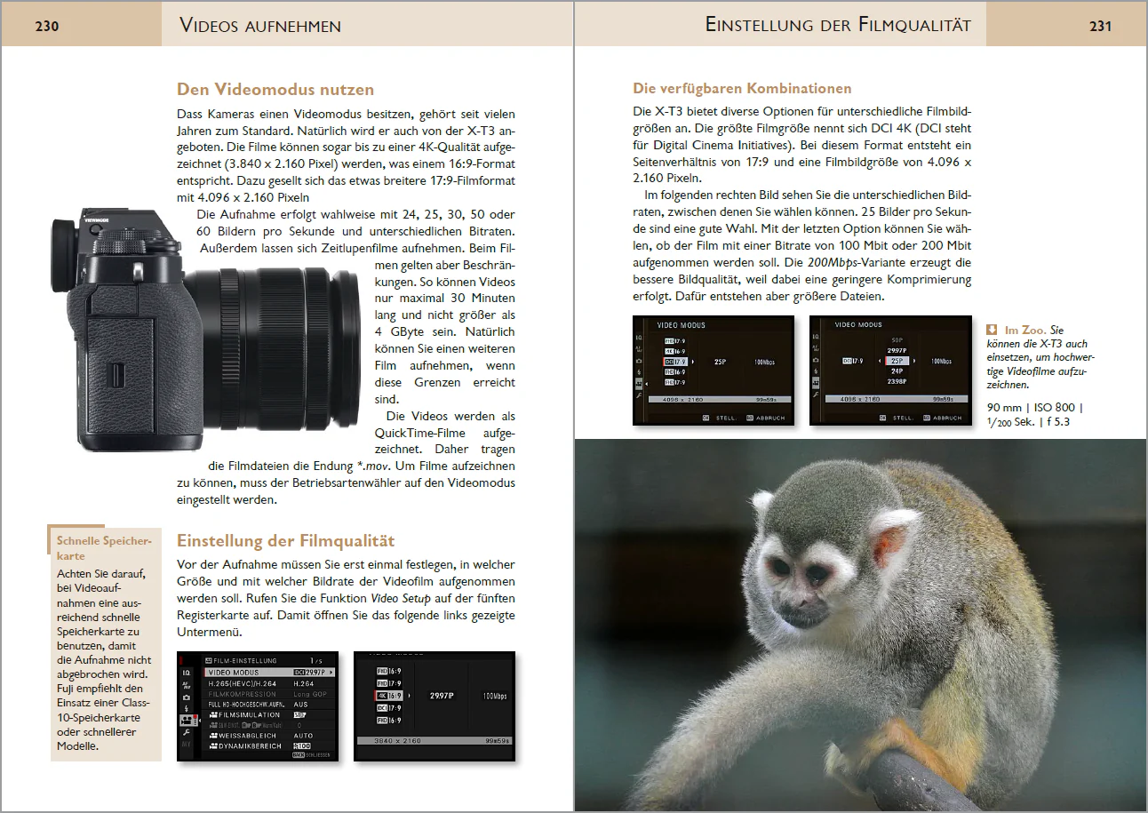 Fujifilm X-T3 - Image 6
