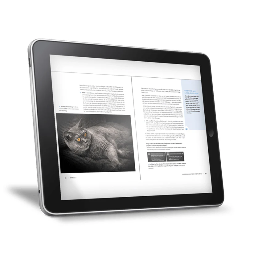 Grafikpaket PRO 2023 für Adobe Photoshop - Image 15