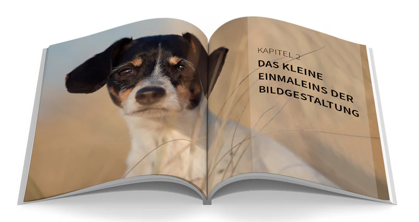 Haustiere perfekt fotografieren - Image 3