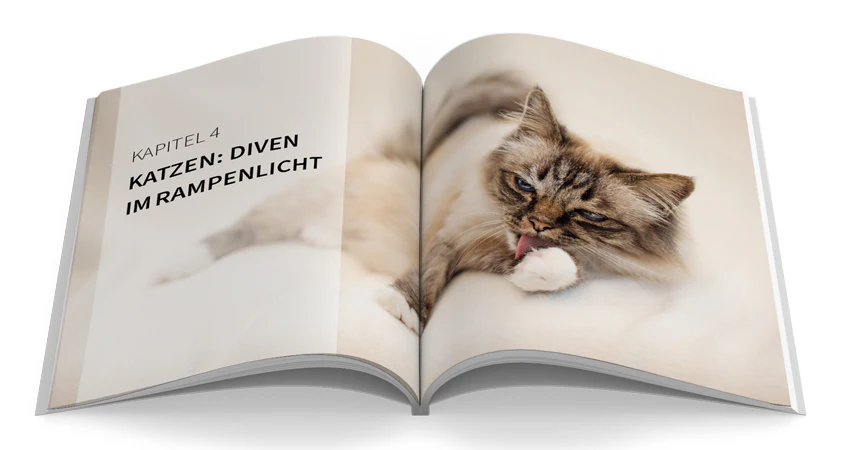 Haustiere perfekt fotografieren - Image 4