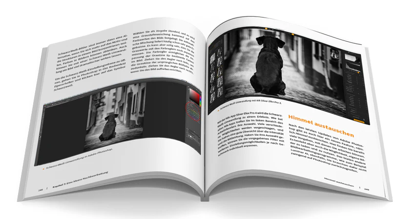 Hunde fotografieren - Image 7