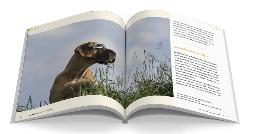 Hunde-Shooting - Image 6