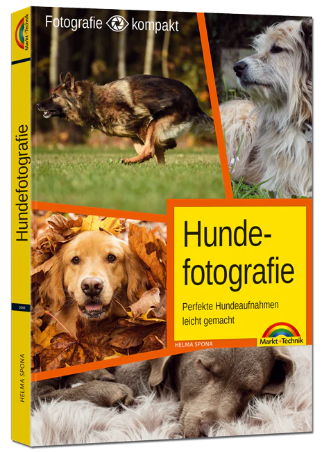 Hundefotografie - Image 6