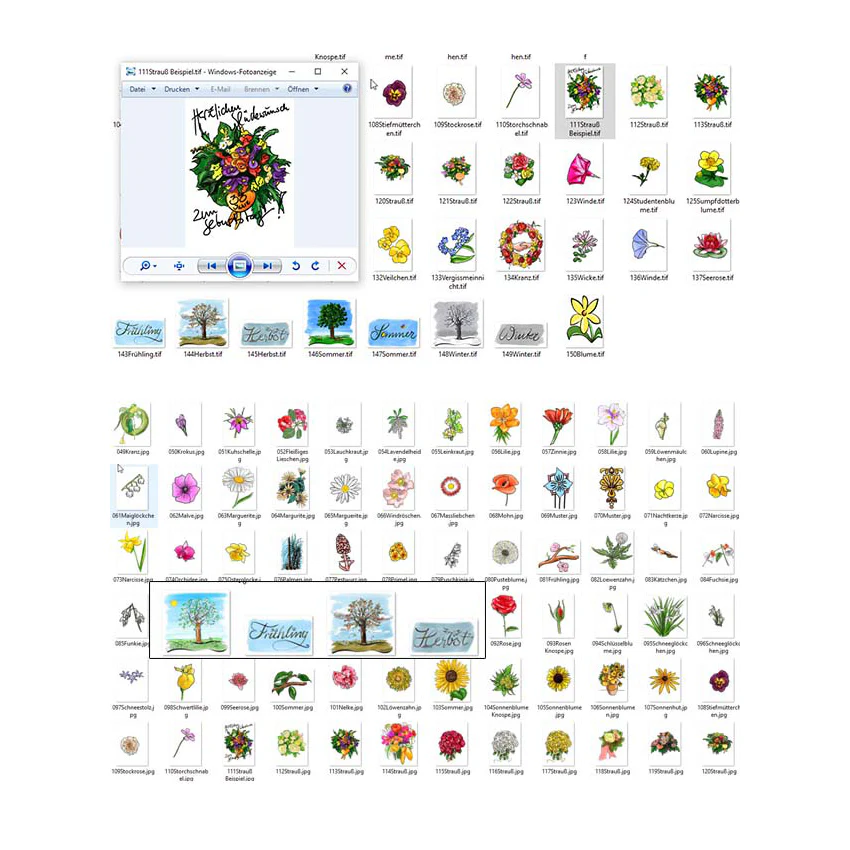 Künstler-Illustrationen Blumen & Sträuße - Image 4