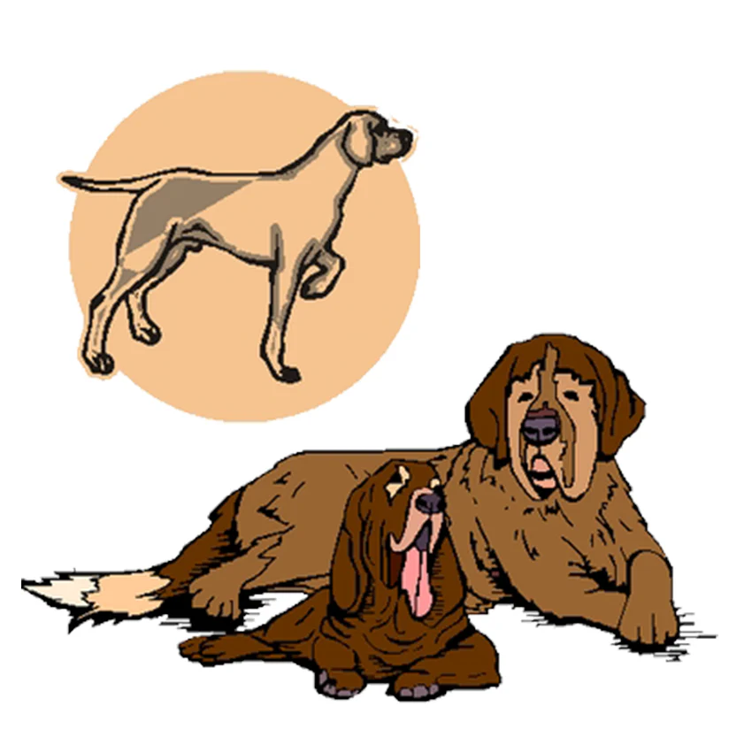 Künstler-Illustrationen Hunde 2 - Image 3