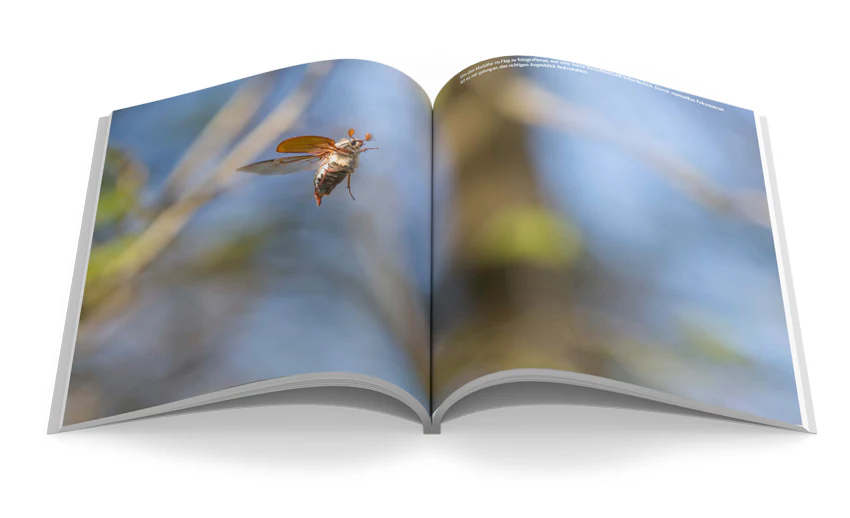 Makro Fotografie - Image 4