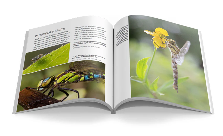 Makro Fotografie - Image 5