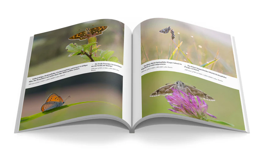 Makro Fotografie - Image 6