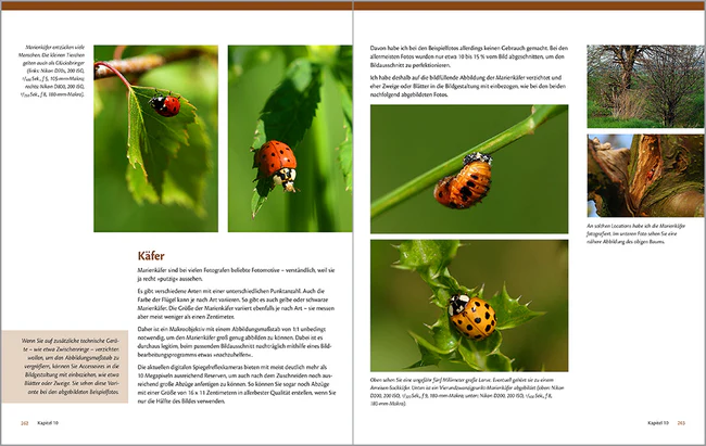 Makro - & Nahfotografie - Image 5