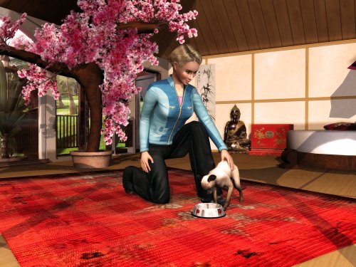 Mein Beautyhotel für Tiere - Image 5