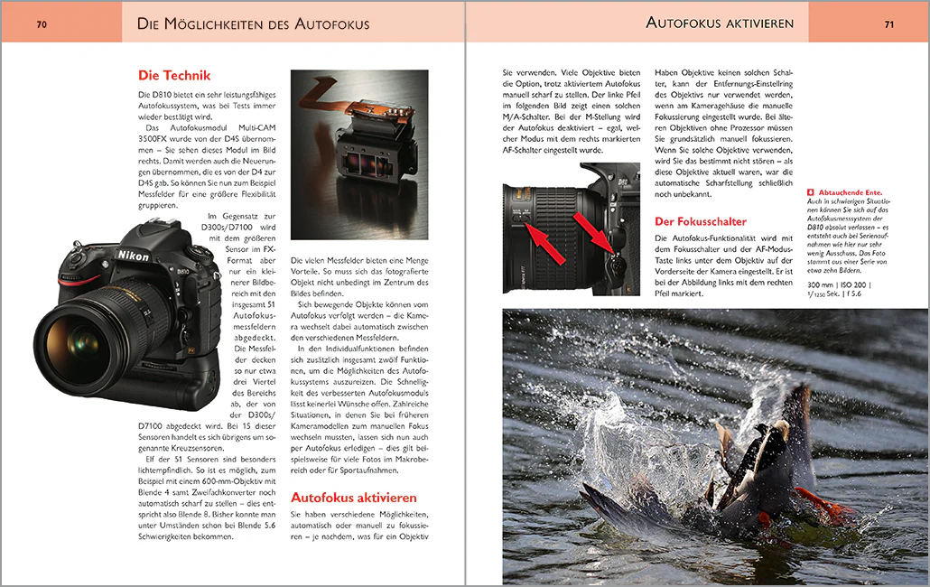 Nikon D810 - Das Vollformat meistern - Image 4