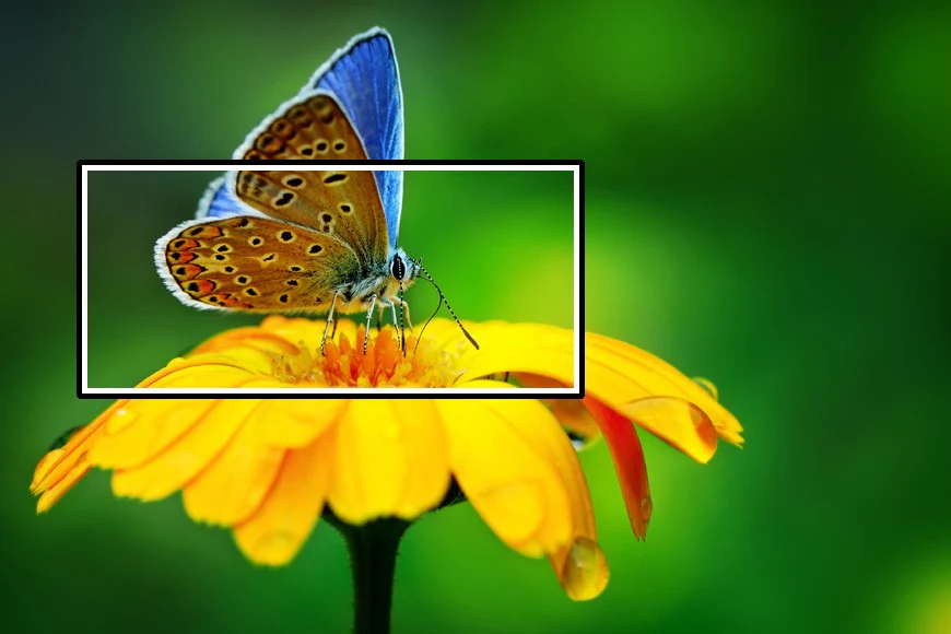 PhotoZoom 8 - Image 3