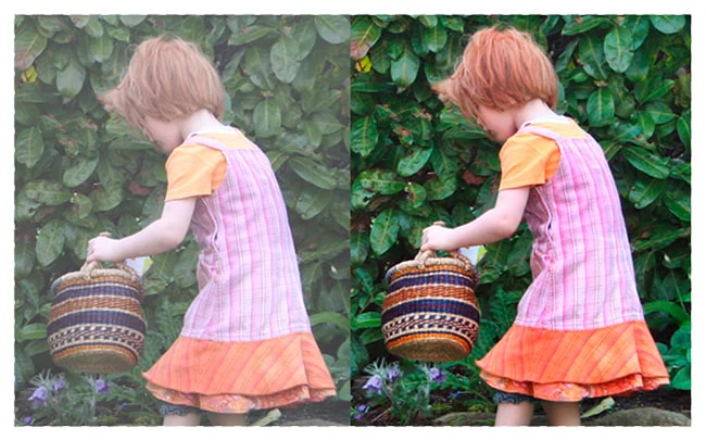 Photomizer 3 Premium - Image 6