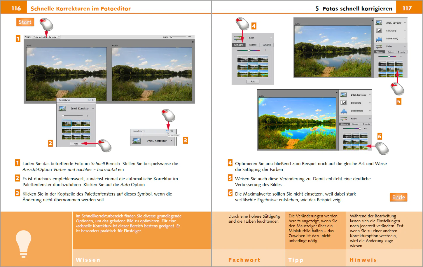 Photoshop Elements 2020 - Bild für Bild - Image 4