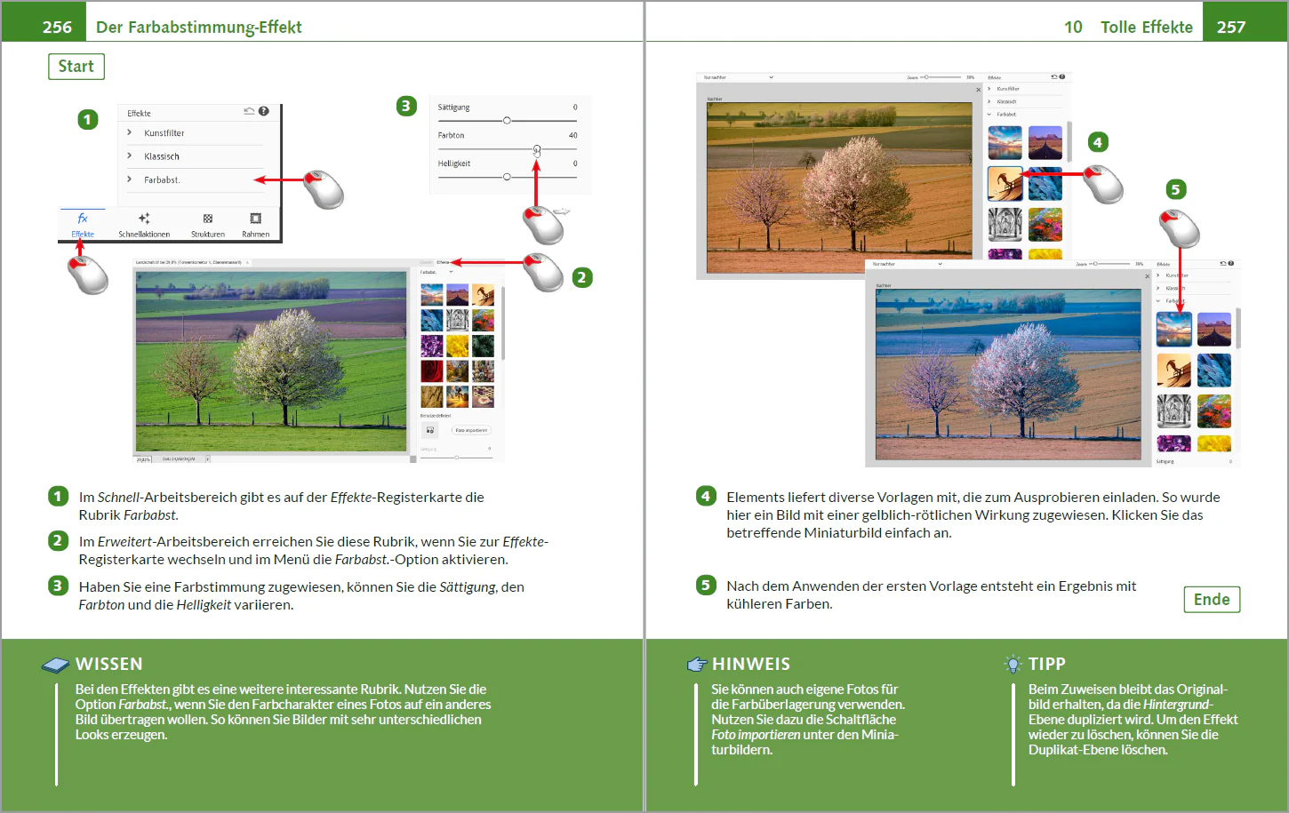Photoshop Elements 2025 – Bild für Bild - Image 5