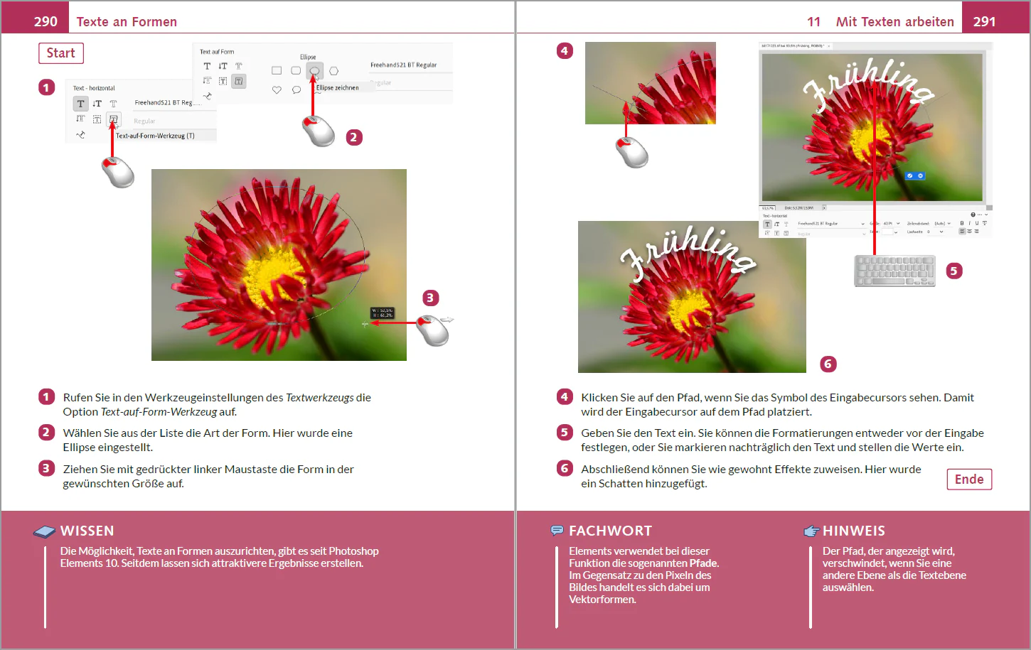Photoshop Elements 2025 – Bild für Bild - Image 6
