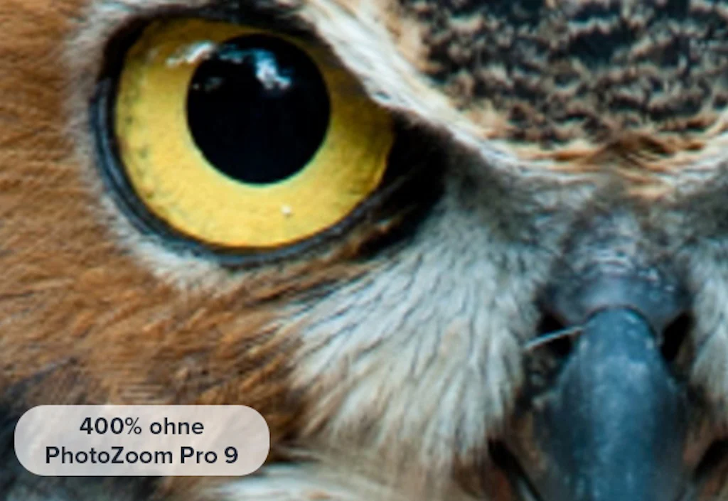 Photozoom 9 Professional - Image 10