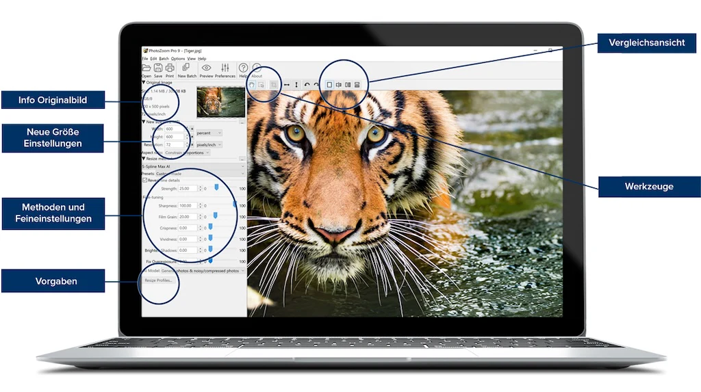 Photozoom 9 Professional - Image 4