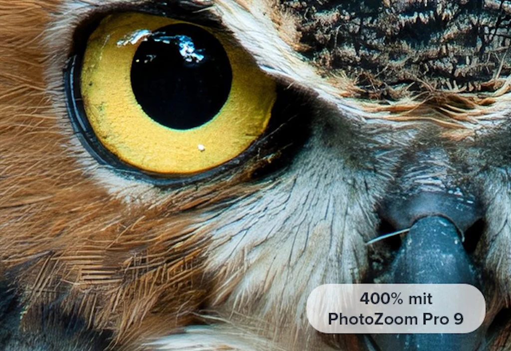 Photozoom 9 Professional - Image 7